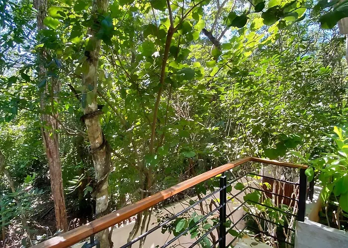 Etnica Residences Jungle Paradise